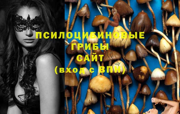 спиды Козловка