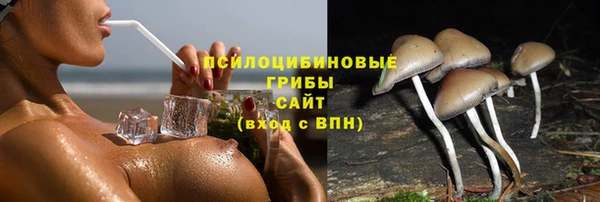 спиды Козловка