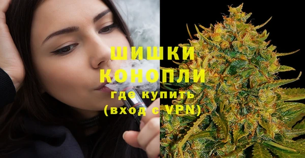 спиды Козловка