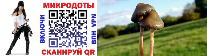Галлюциногенные грибы Cubensis  Купить  Чехов 